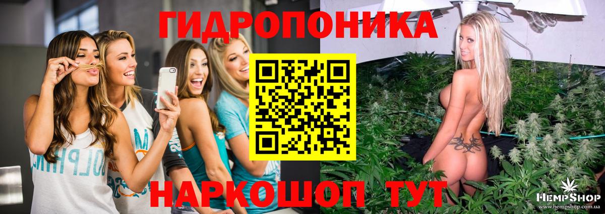 Канабис конопля Саратов